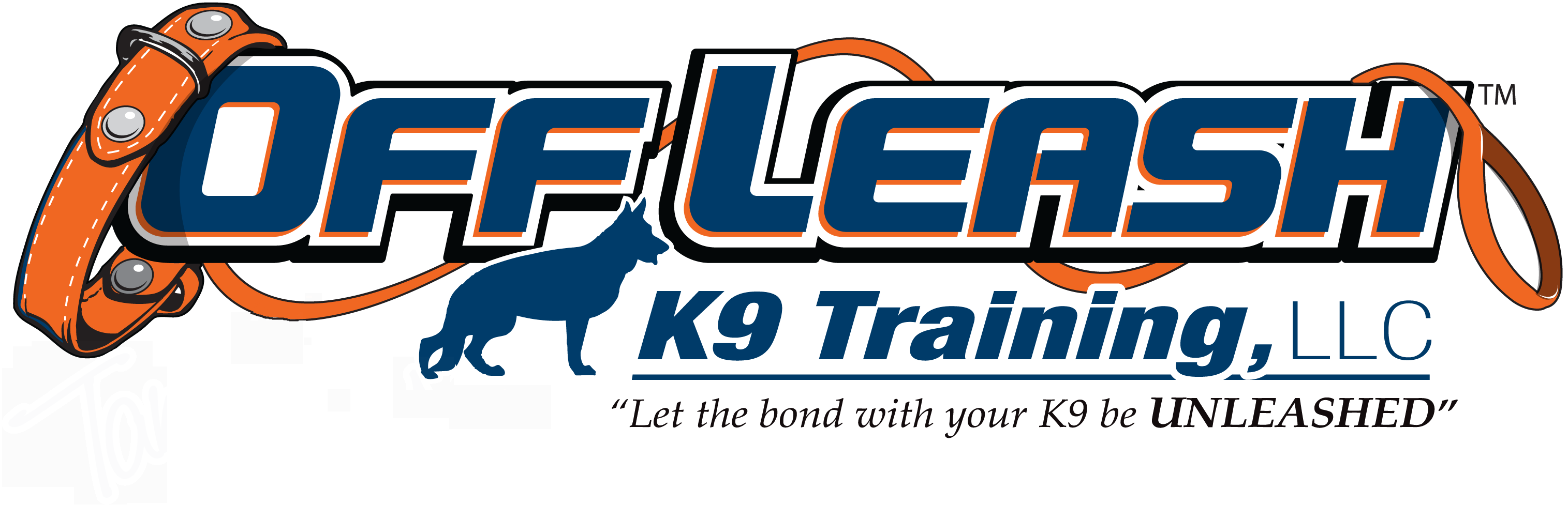 New Hampshire Offleash K9 Dog Training
