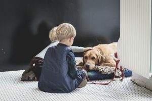 How Therapy Dogs Benefit Childrens Emotional, Social, and Cognitive Development