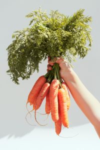 Enhancing Your Dogs Diet: The Power of Vegetables