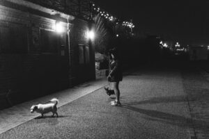How Daily Walks Contribute to Better Sleep for Your Pup
