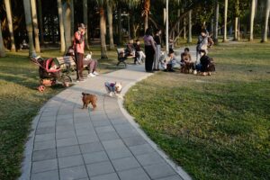 Top Dog Parks in New Hampshire