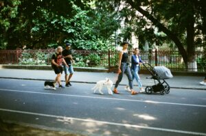 Making Pack Walks a Routine: How to Stay Consistent